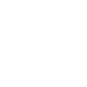Twitter Logo